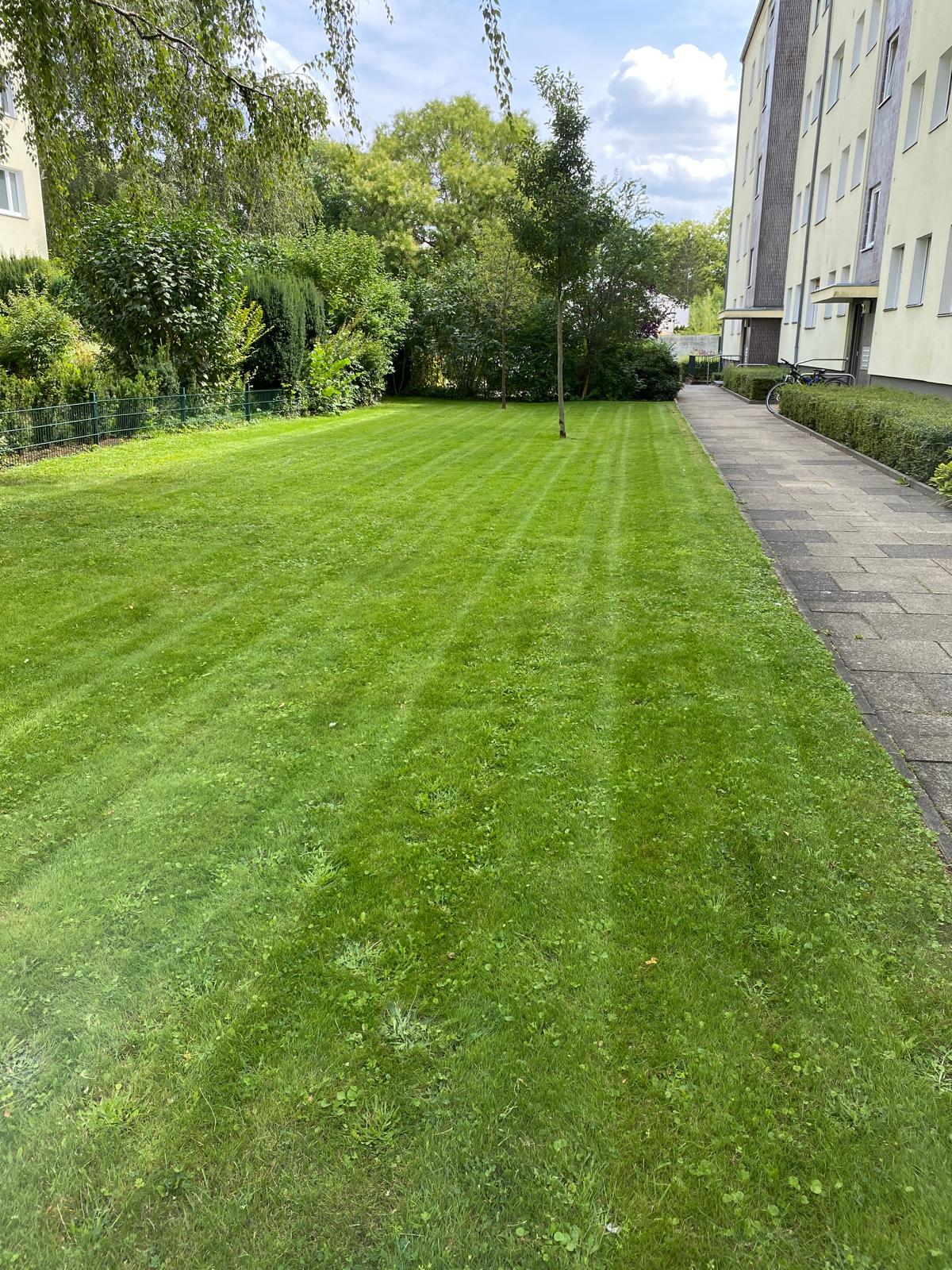 Gepflegte Hecke und Rasenfläche – Grünflächenpflege durch BLT Facility Service